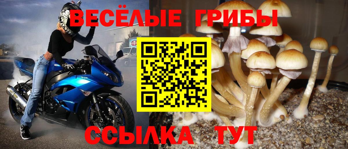 Псилоцибиновые грибы мухоморы Лосино-Петровский