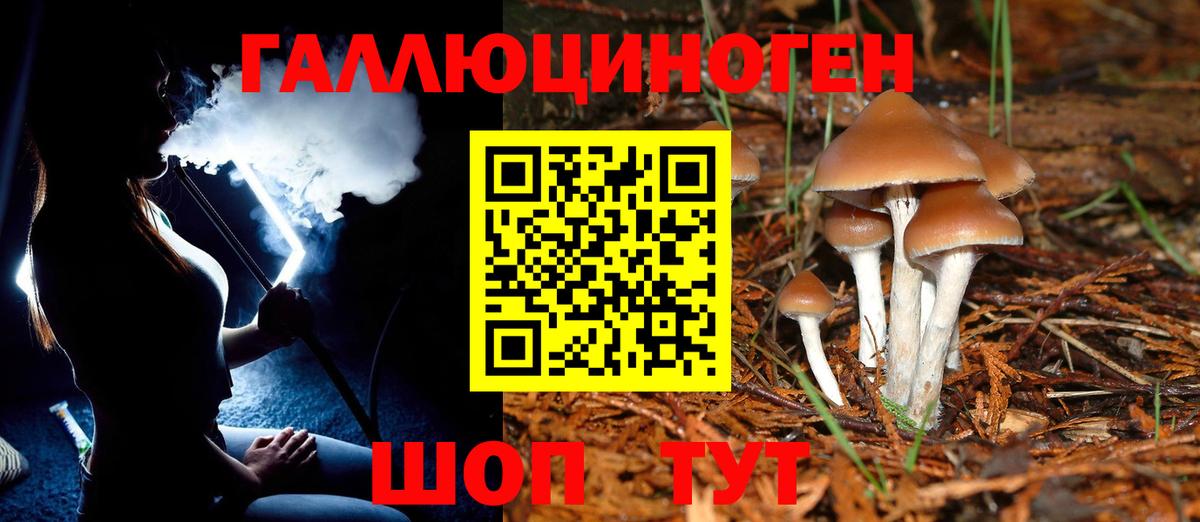 Лосино-Петровский  Псилоцибиновые грибы мицелий  Вход с VPN 
